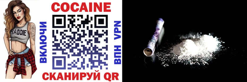 Cocaine Fish Scale  дарнет шоп  Новая Ладога 