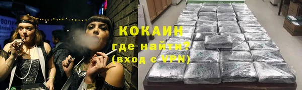 хмурый Бородино