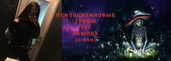 хмурый Бородино