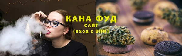 хмурый Бородино