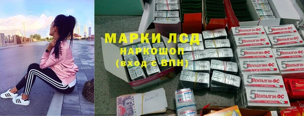 хмурый Бородино