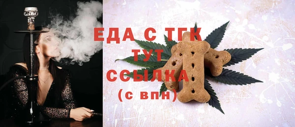 хмурый Бородино