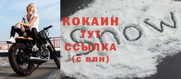 хмурый Бородино